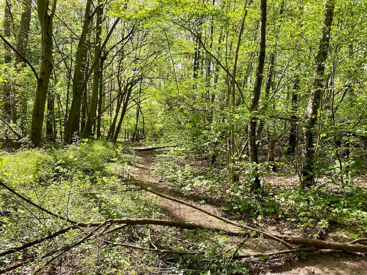 Wandern Im Worringer Bruch - Am Niedrigsten Punkt Kölns - Teilzeitwandern