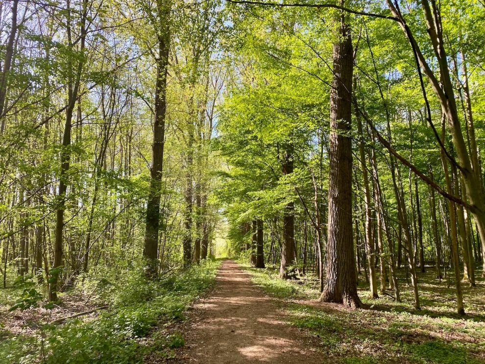 Wandern Im Worringer Bruch - Am Niedrigsten Punkt Kölns - Teilzeitwandern